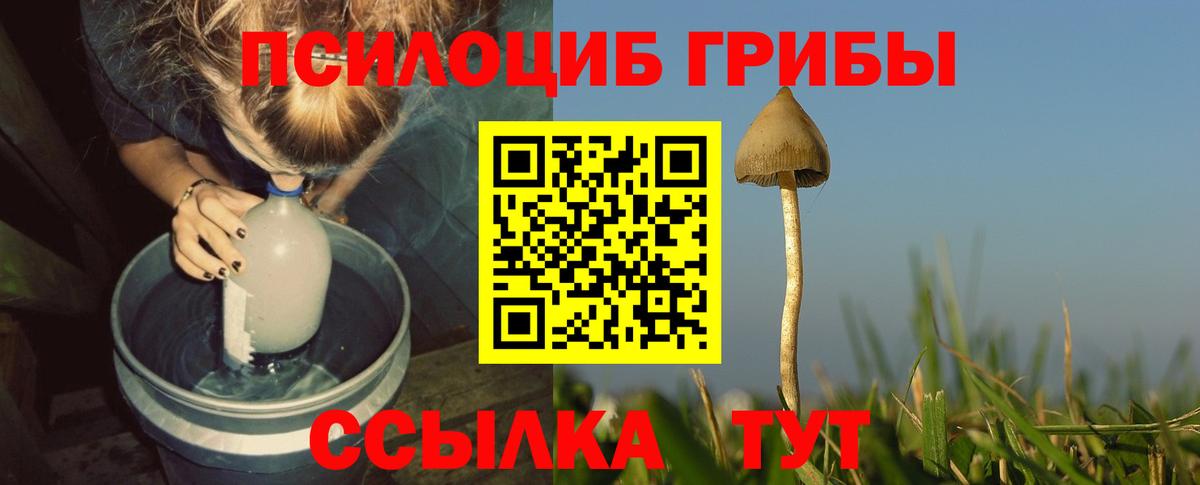 Галлюциногенные грибы Psilocybine cubensis  Вход с VPN  Галлюциногенные грибы MAGIC MUSHROOMS  Братск 